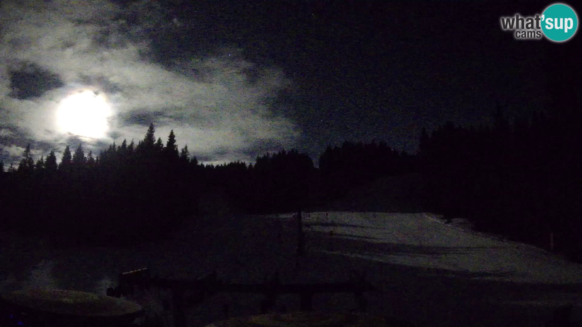 Station de ski Rogla Webcam Ostruščica pistes 1 et 2