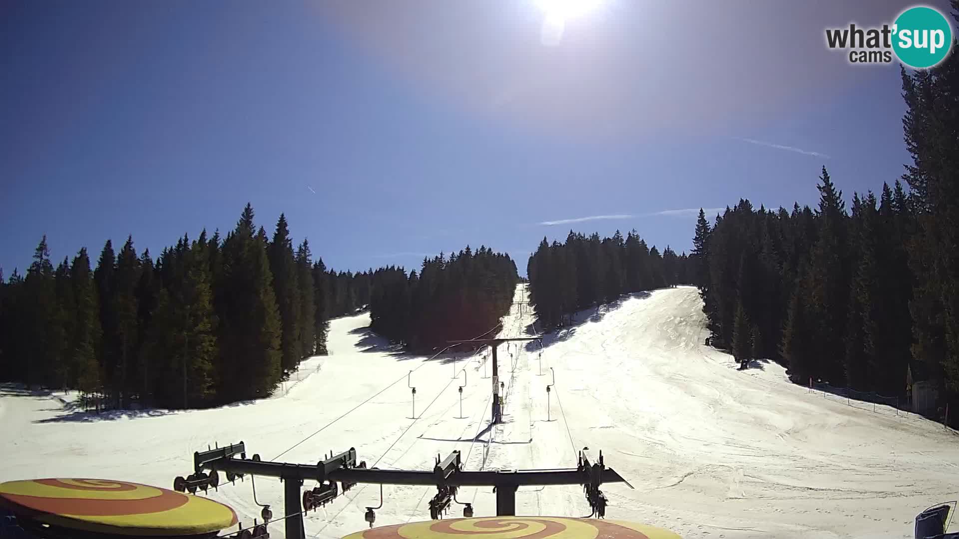 Station de ski Rogla Webcam Ostruščica pistes 1 et 2