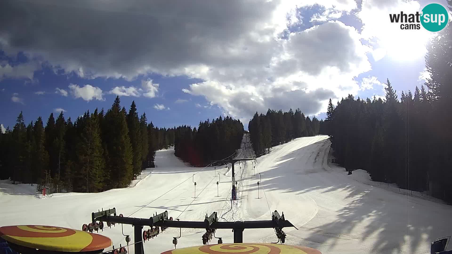 Comprensorio sciistico Rogla Webcam live Ostruščica piste 1 e 2