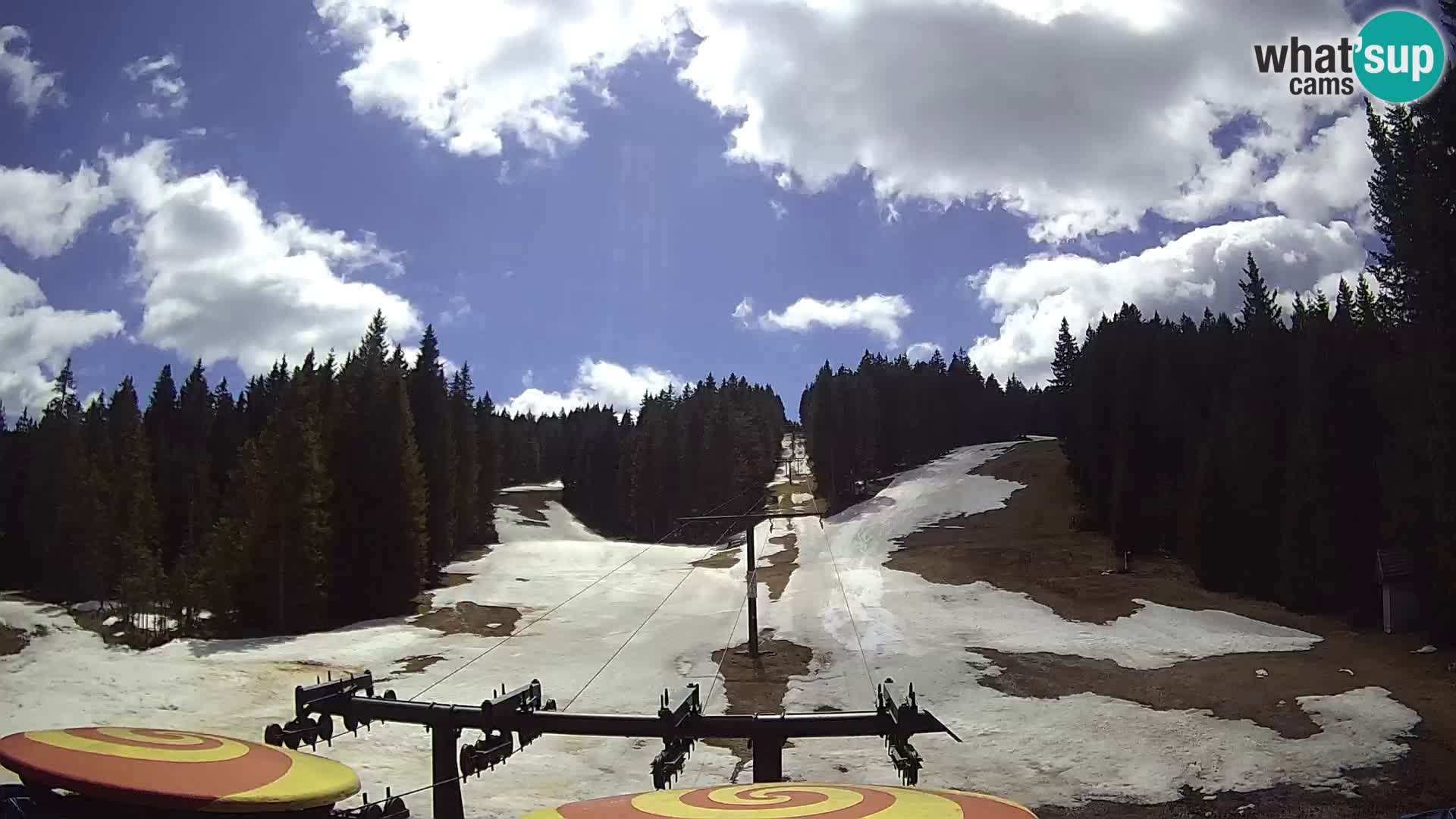 Skigebiet Rogla Webcam Ostruščica Piste 1 und 2