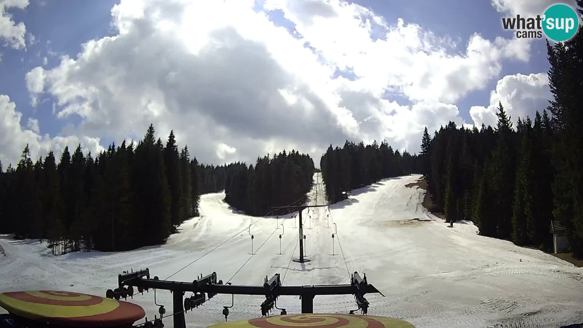 Webcam Live Rogla ski resort – Ostruščica