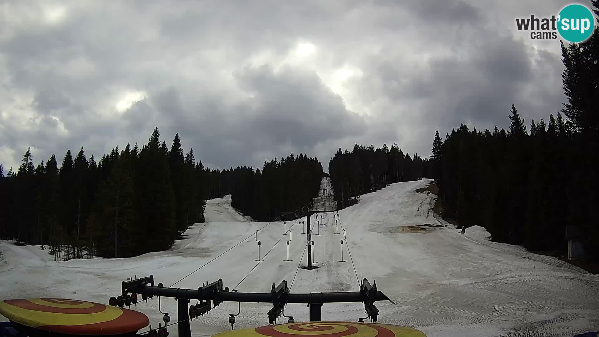 Comprensorio sciistico Rogla Webcam live Ostruščica piste 1 e 2