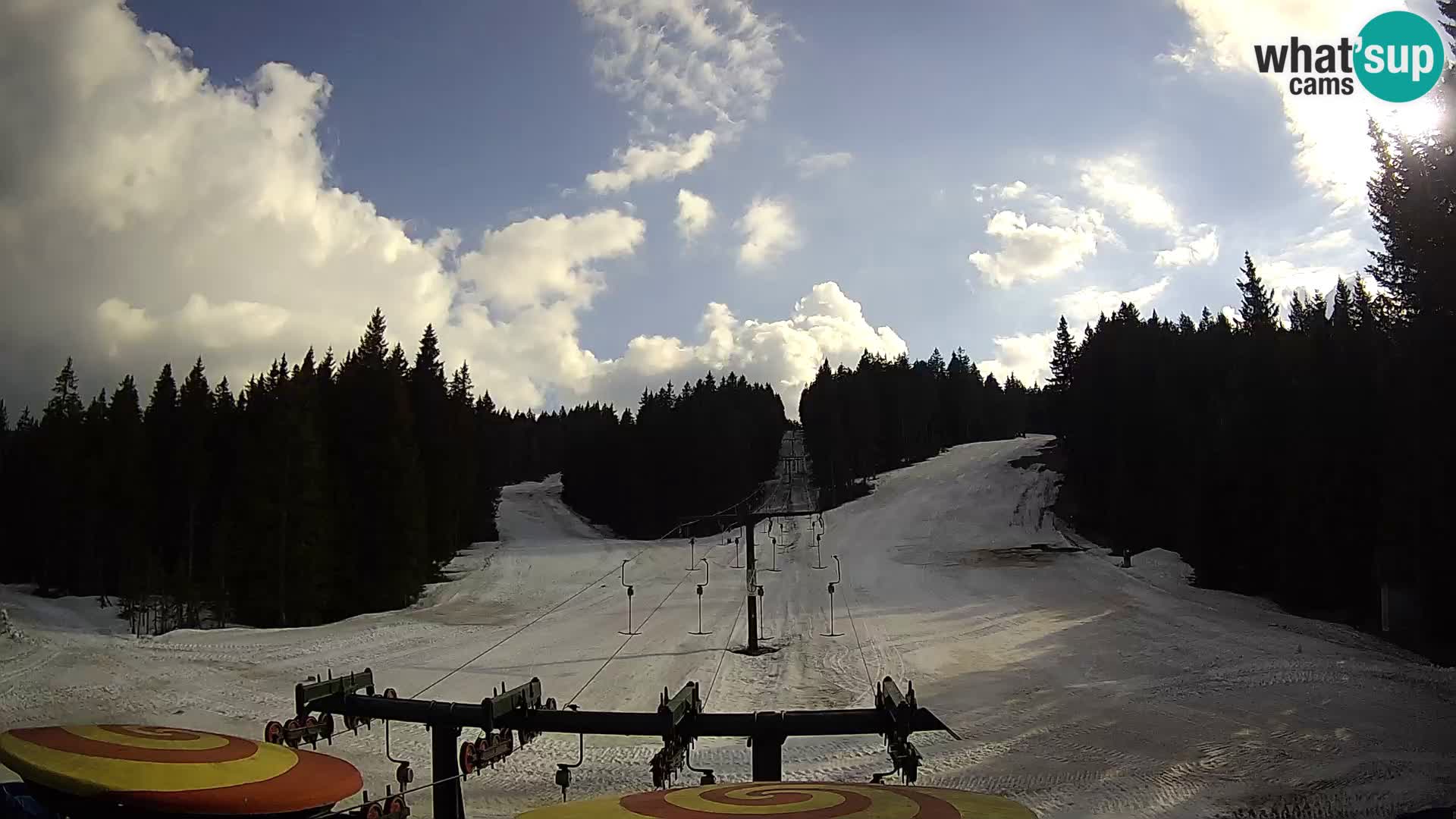 Comprensorio sciistico Rogla Webcam live Ostruščica piste 1 e 2