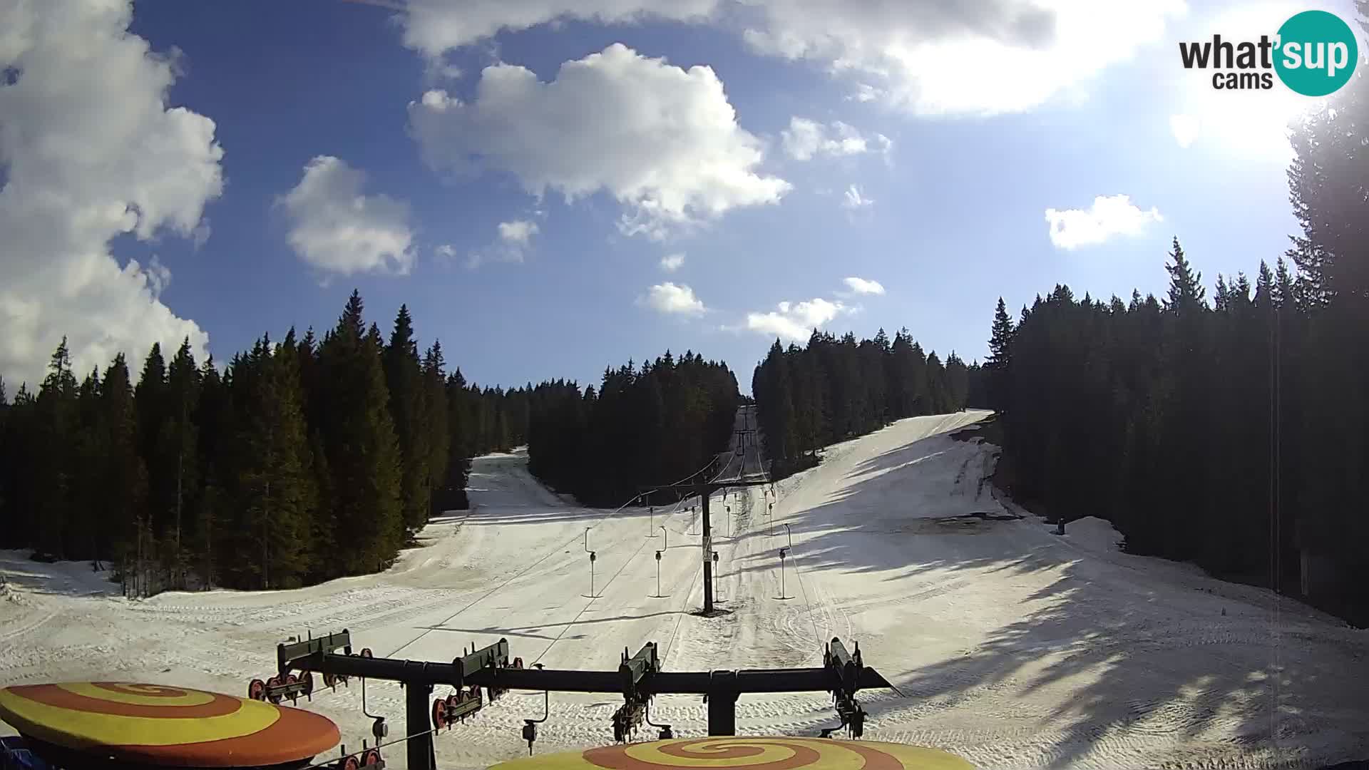 Comprensorio sciistico Rogla Webcam live Ostruščica piste 1 e 2