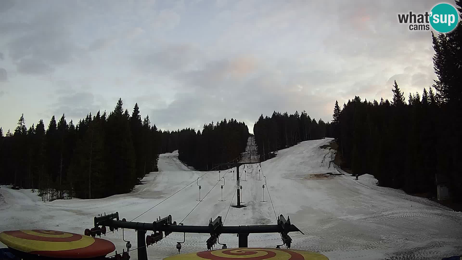 Comprensorio sciistico Rogla Webcam live Ostruščica piste 1 e 2