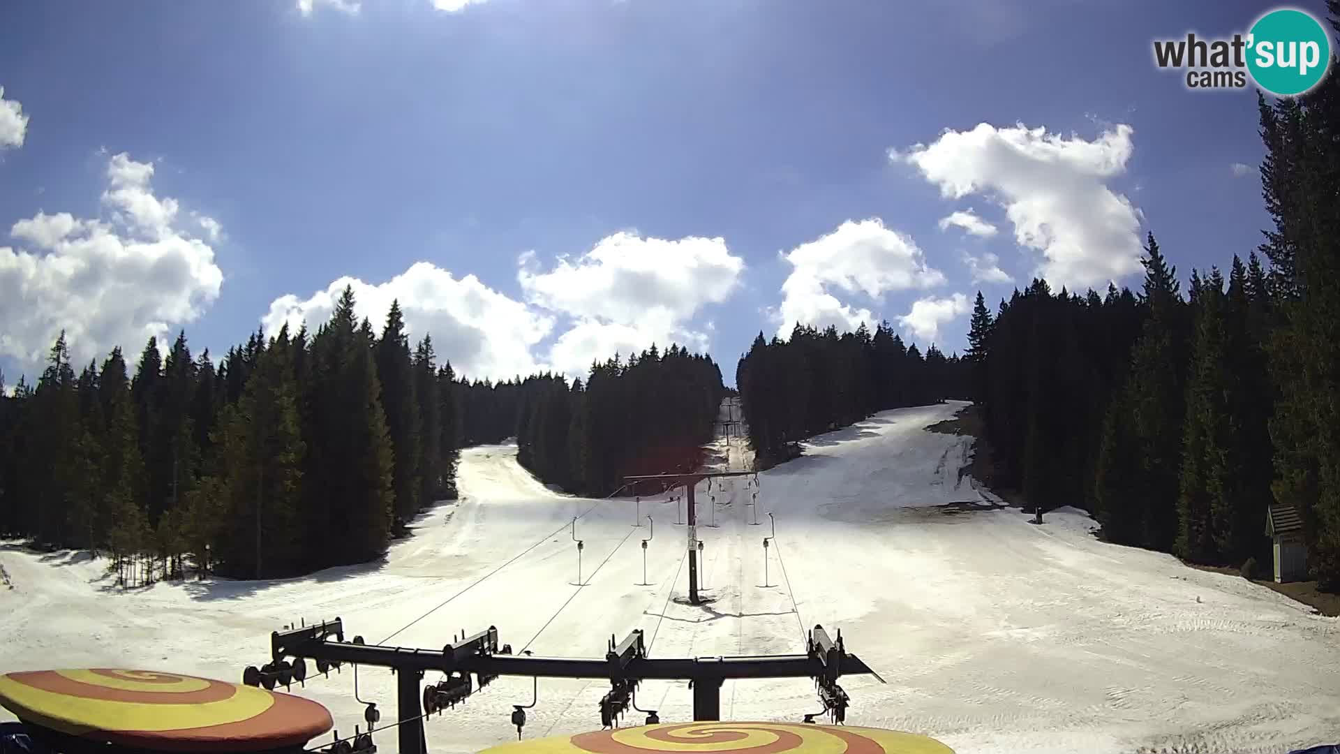 Webcam Live Rogla ski resort – Ostruščica