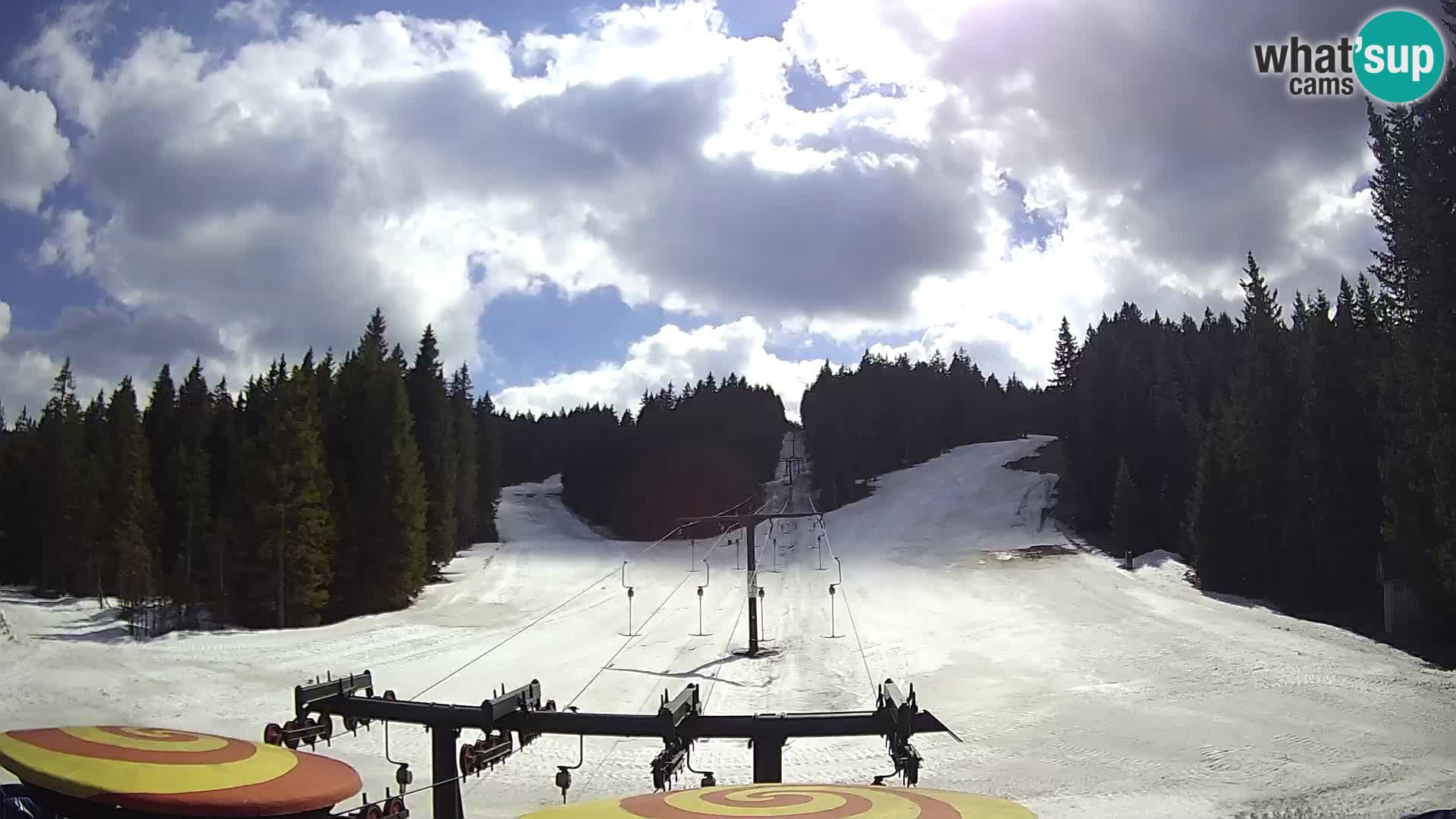 Station de ski Rogla Webcam Ostruščica pistes 1 et 2