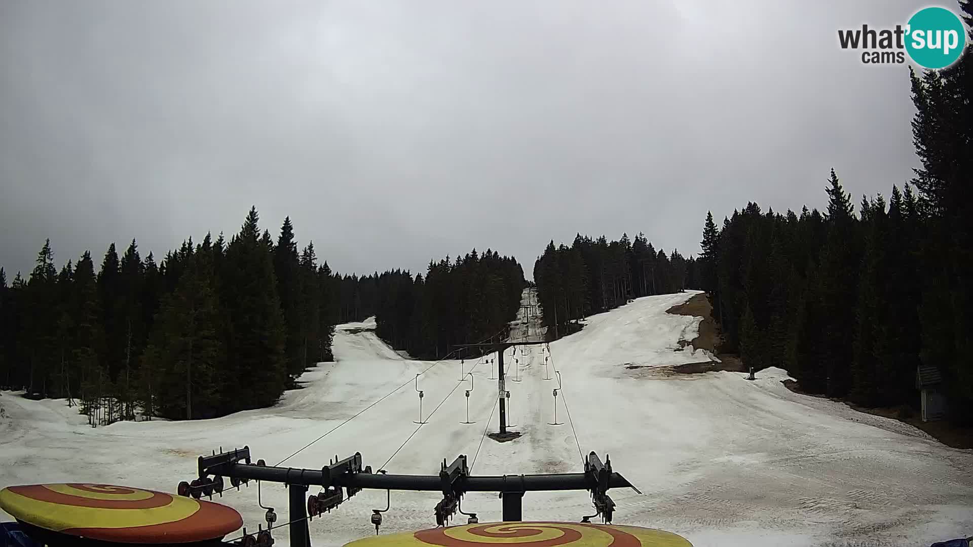 Station de ski Rogla Webcam Ostruščica pistes 1 et 2