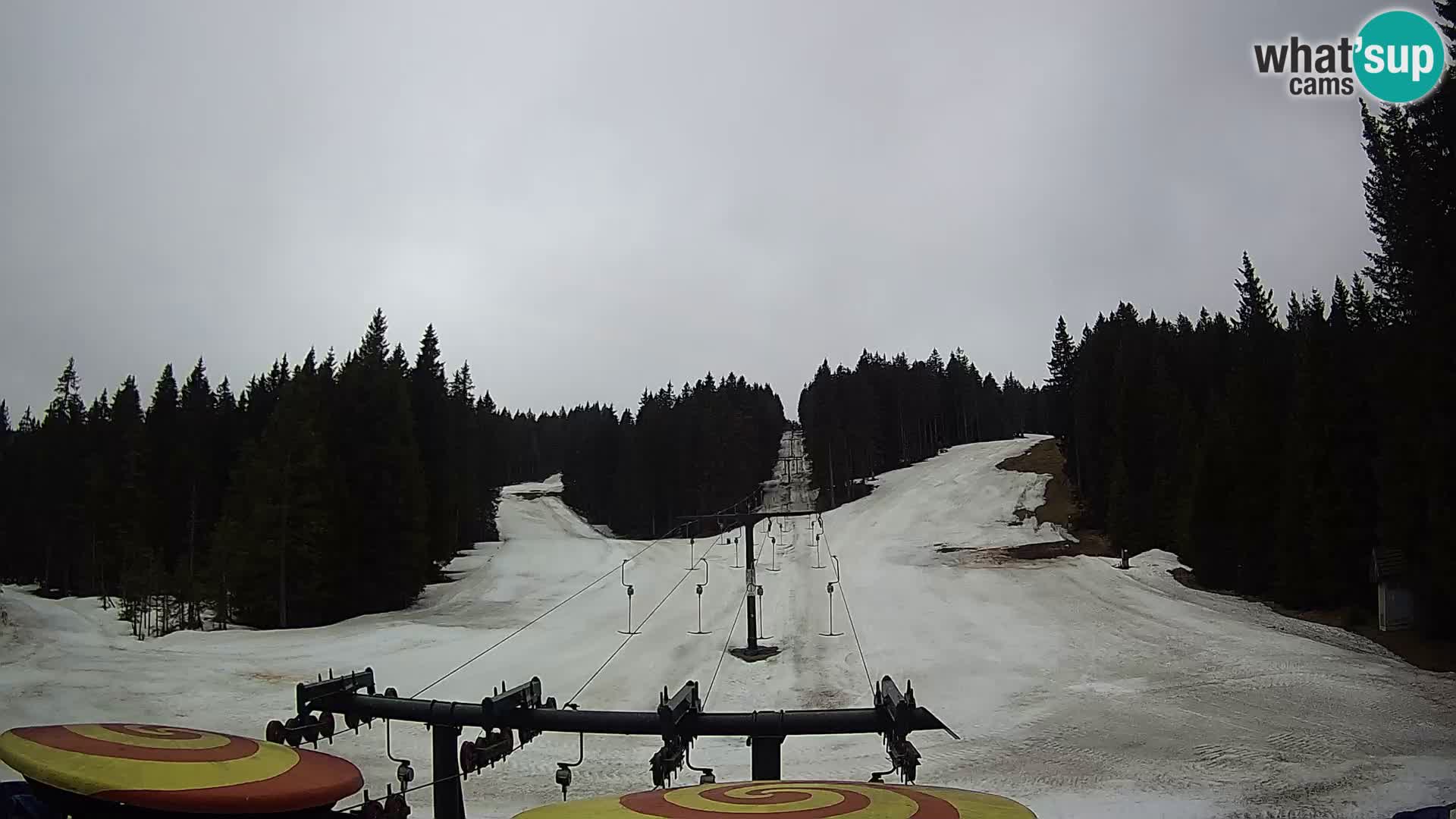 Skigebiet Rogla Webcam Ostruščica Piste 1 und 2