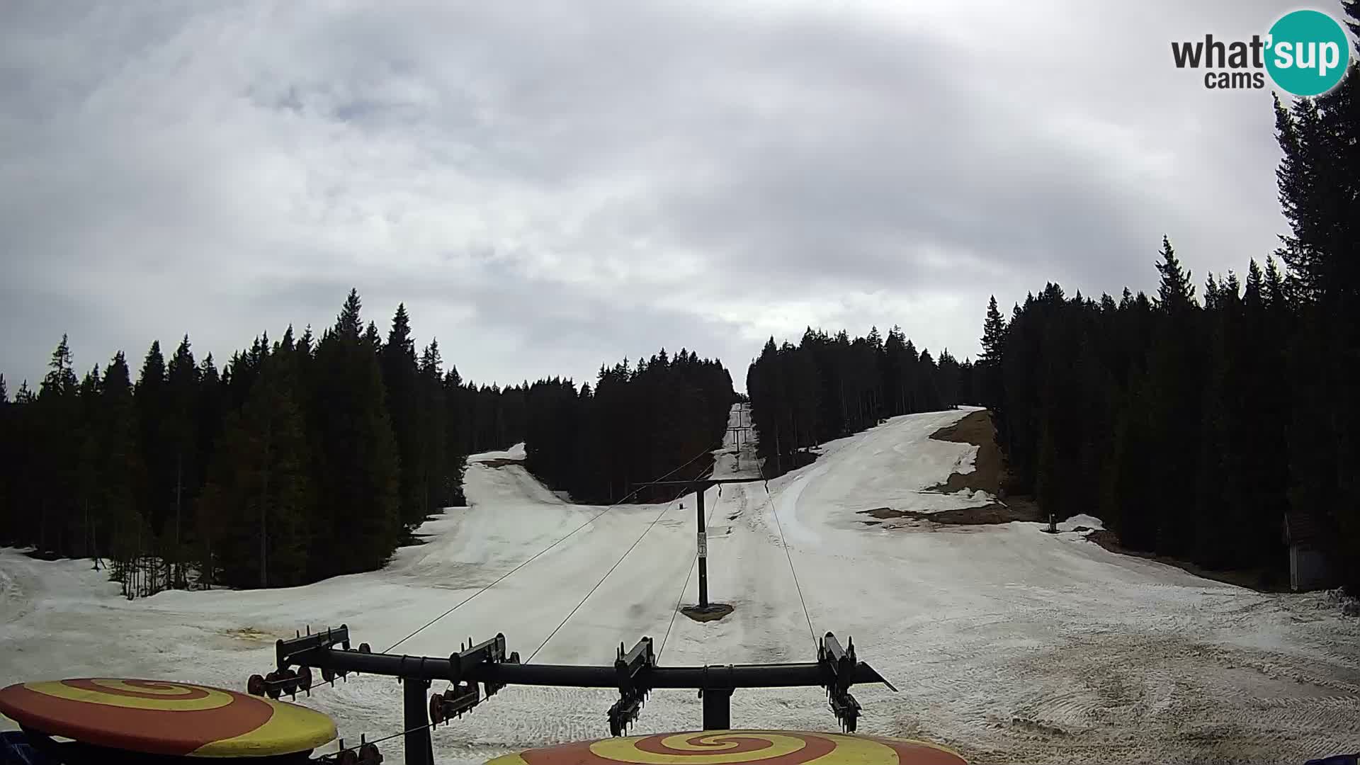Estación de esquí Rogla Webcam Ostruščica pistas 1 y 2