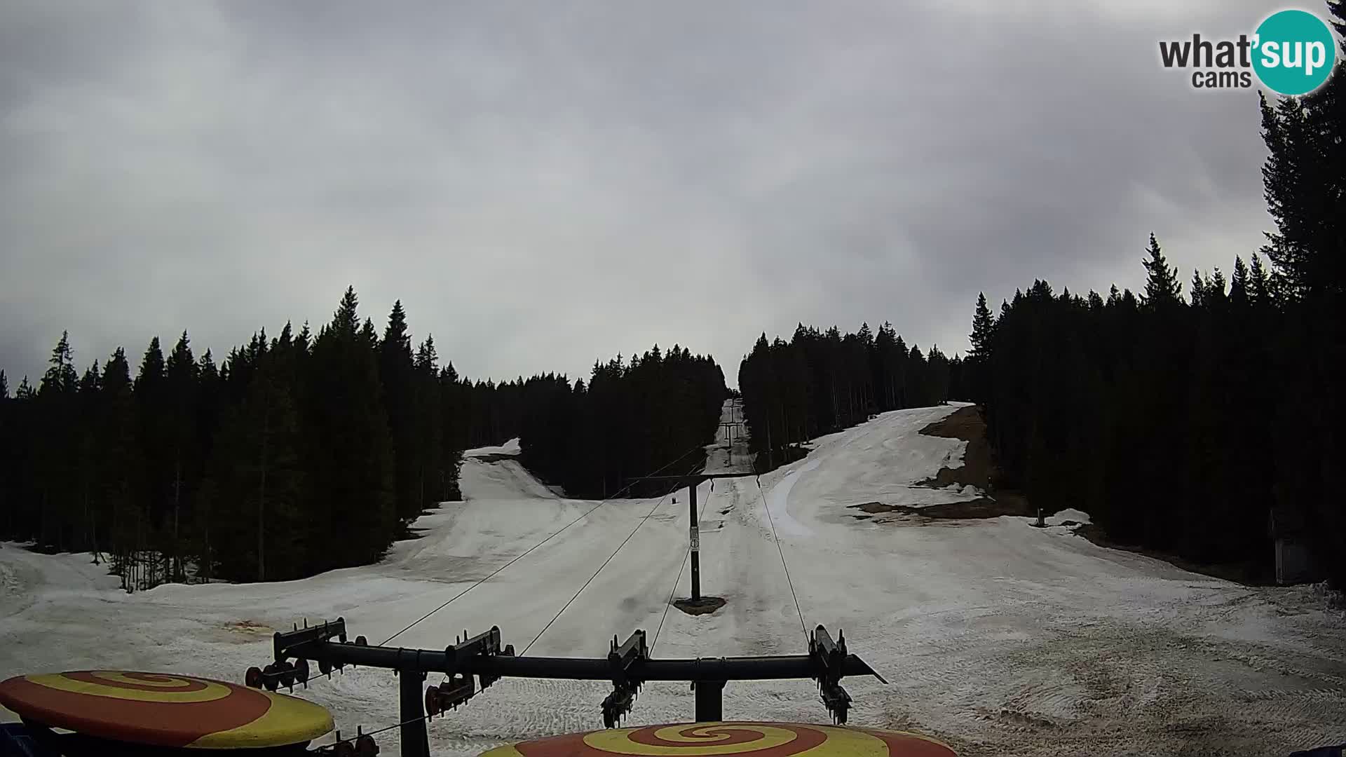 Estación de esquí Rogla Webcam Ostruščica pistas 1 y 2