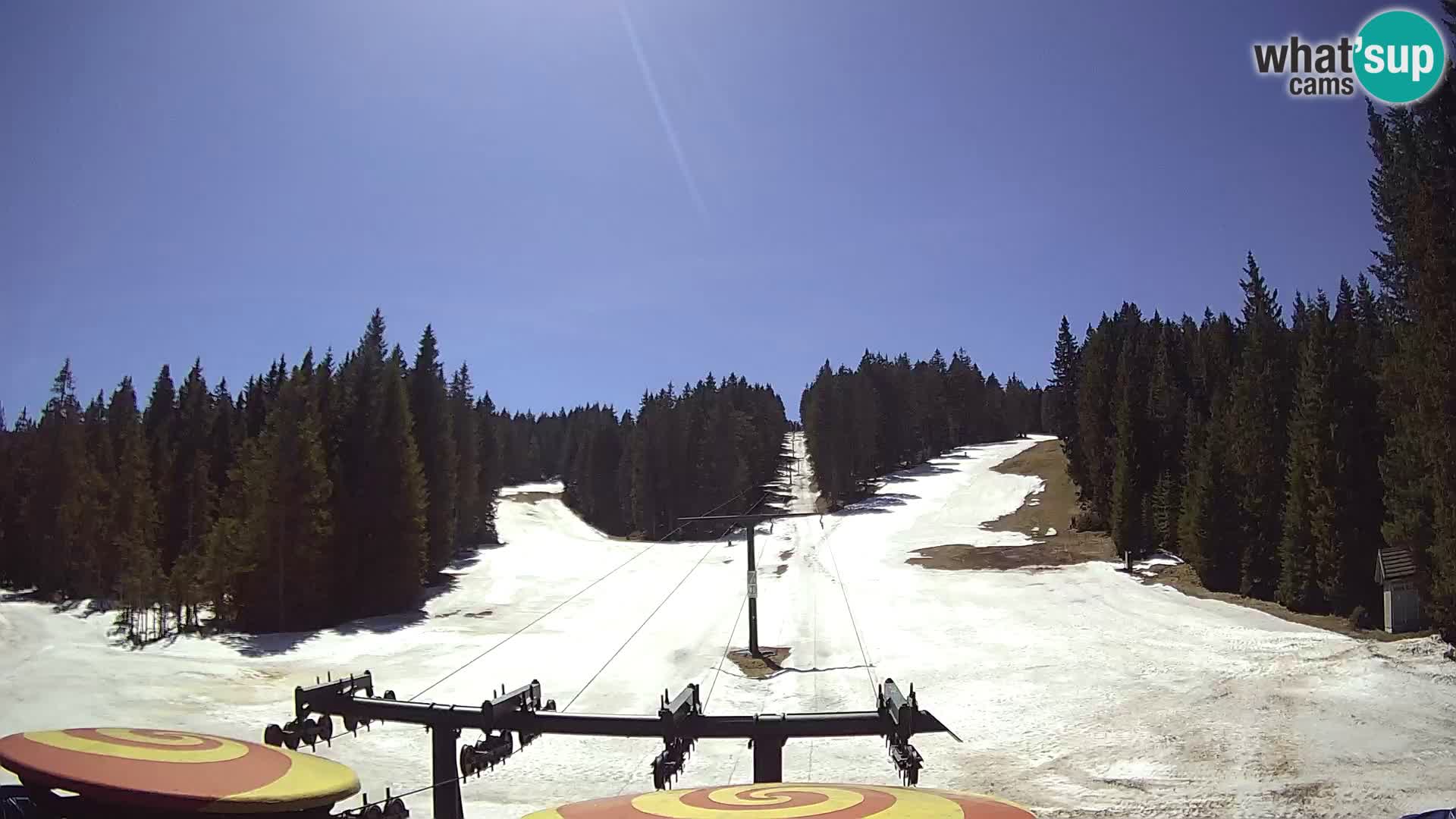 Smučišče Rogla Spletna kamera Ostruščica proga 1 in 2
