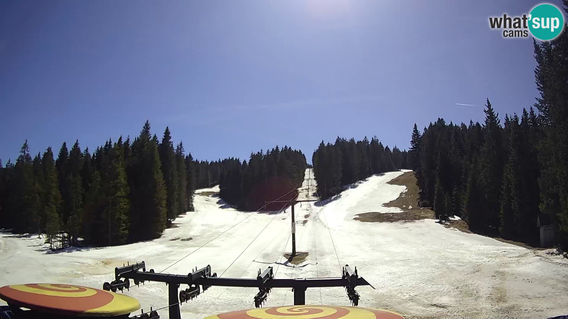 Station de ski Rogla Webcam Ostruščica pistes 1 et 2