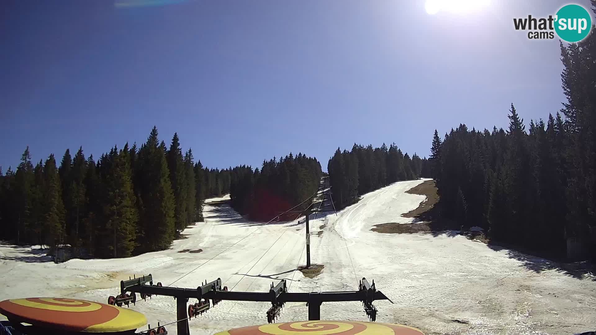 Skigebiet Rogla Webcam Ostruščica Piste 1 und 2