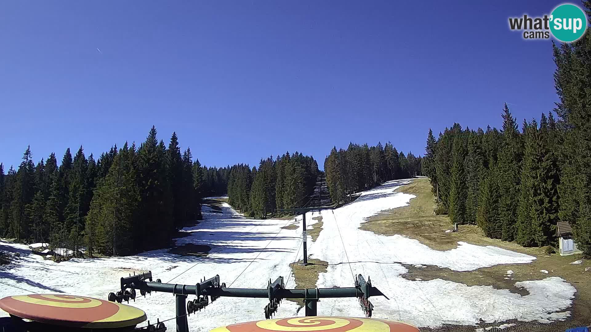 Comprensorio sciistico Rogla Webcam live Ostruščica piste 1 e 2