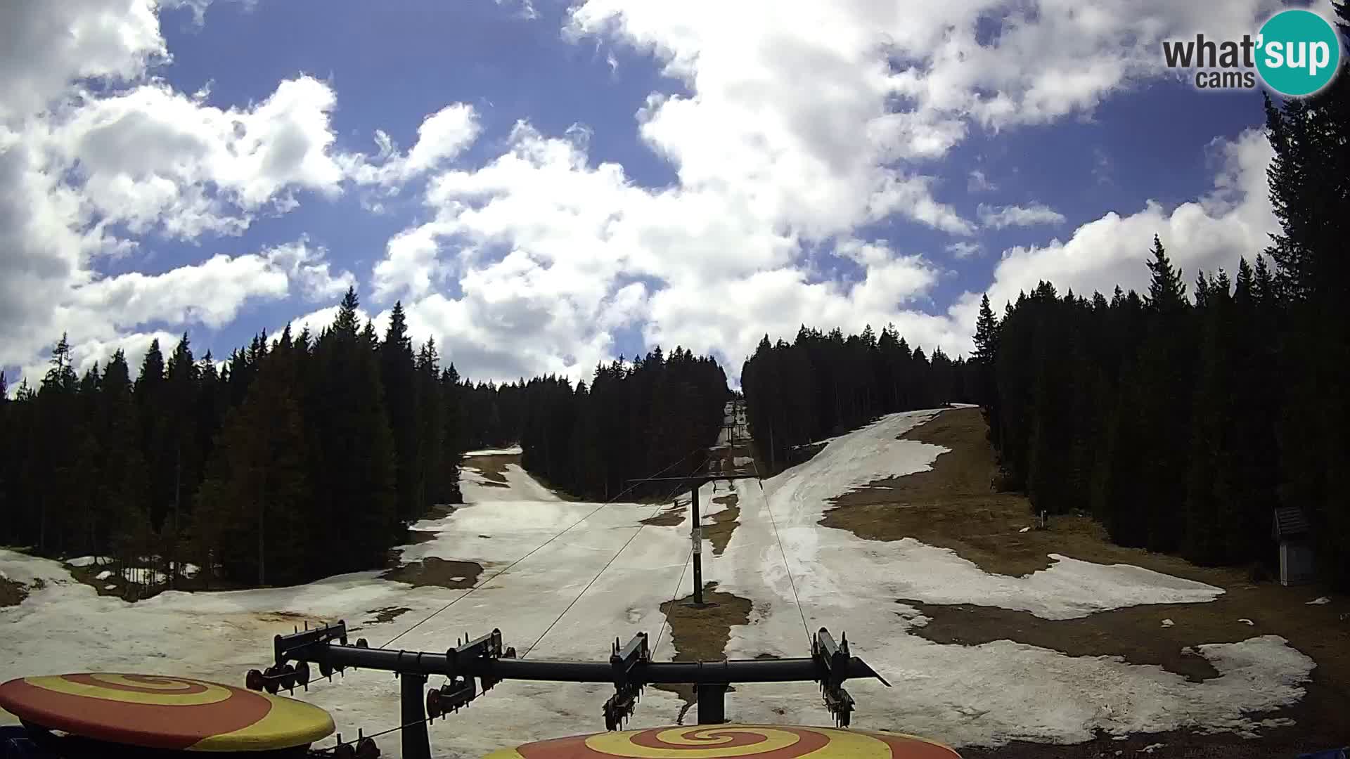 Skijalište Rogla web kamera Ostruščica proga 1 in 2