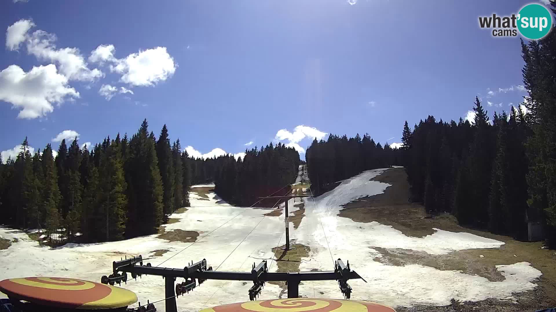 Webcam Live Rogla ski resort – Ostruščica