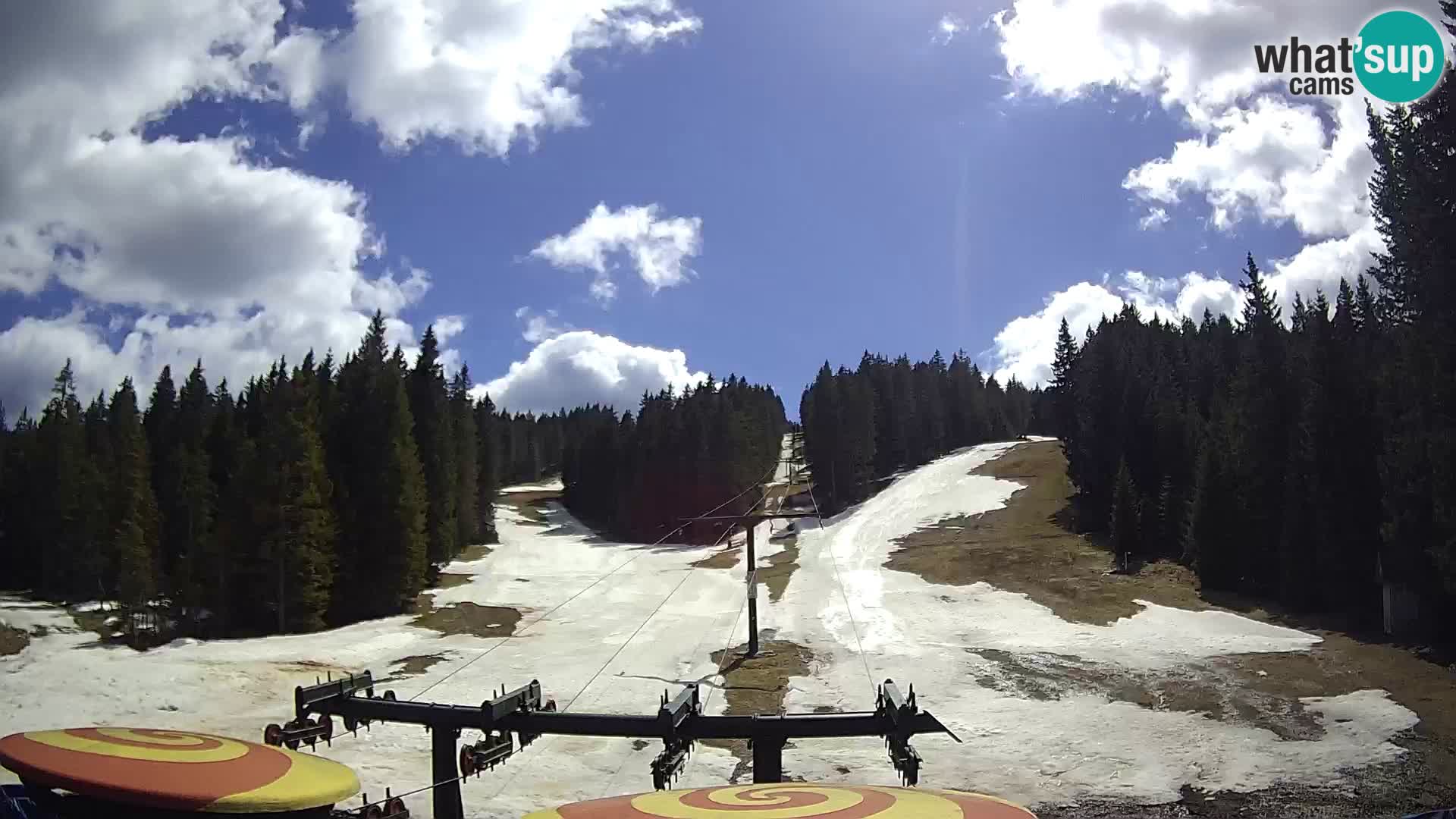 Skigebiet Rogla Webcam Ostruščica Piste 1 und 2