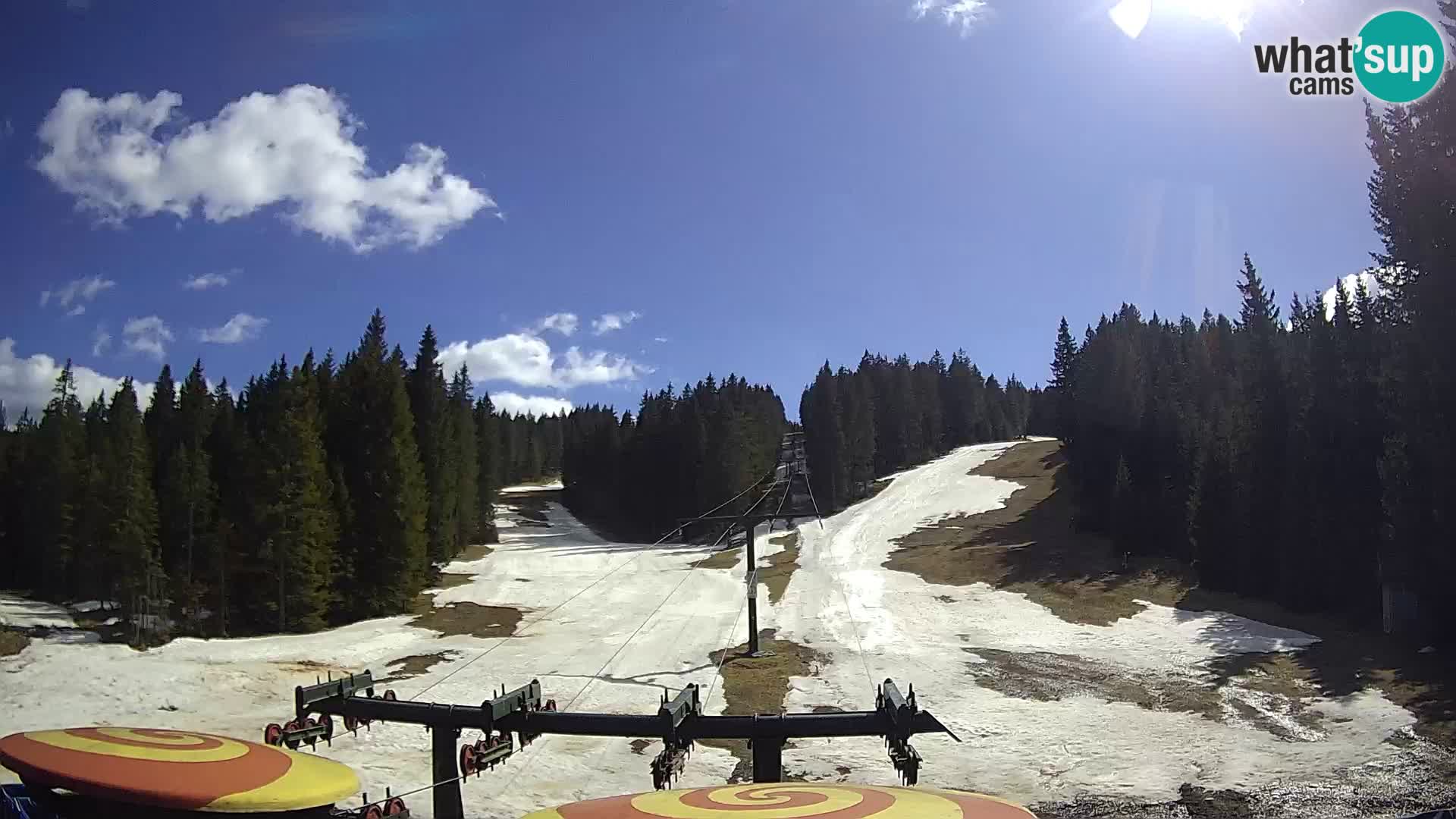 Estación de esquí Rogla Webcam Ostruščica pistas 1 y 2