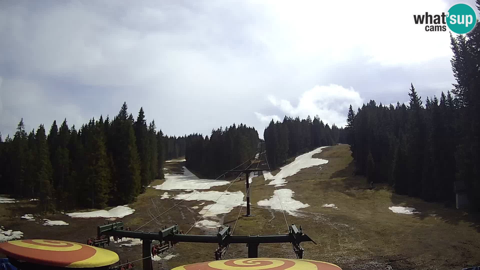 Station de ski Rogla Webcam Ostruščica pistes 1 et 2