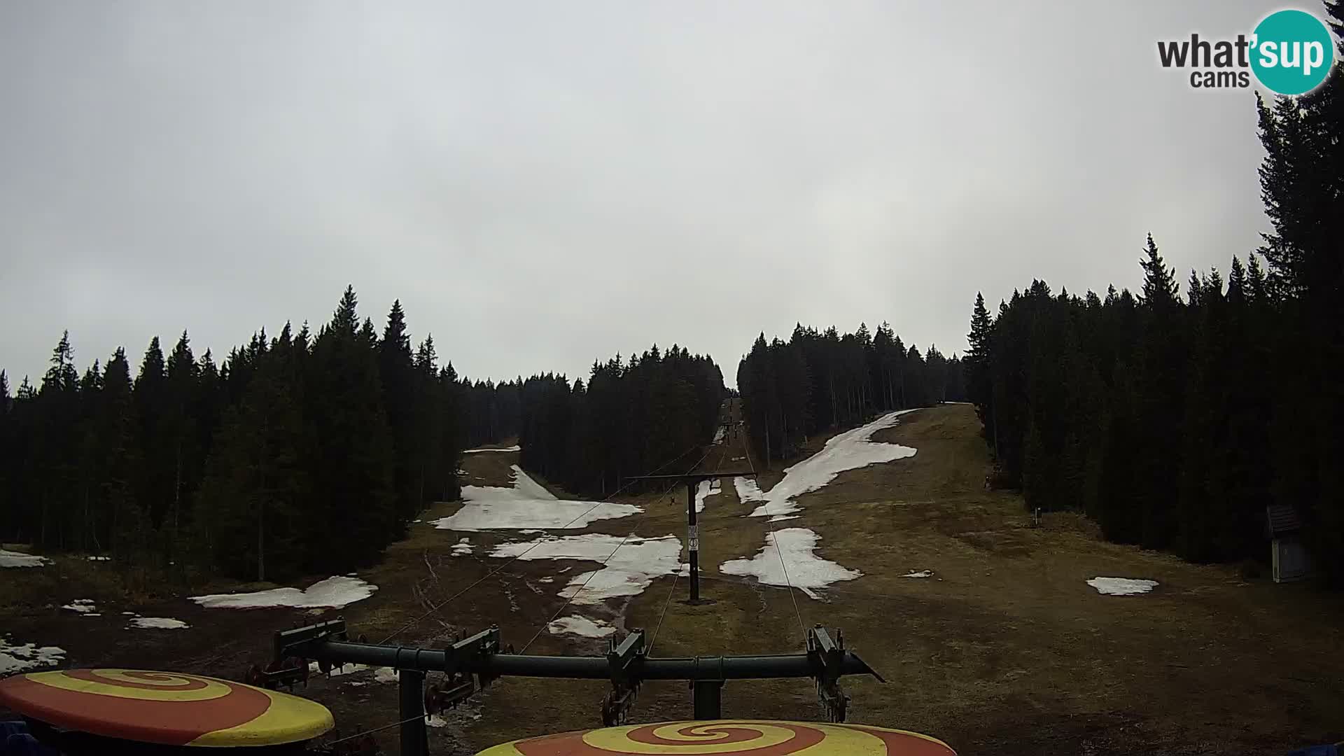 Comprensorio sciistico Rogla Webcam live Ostruščica piste 1 e 2