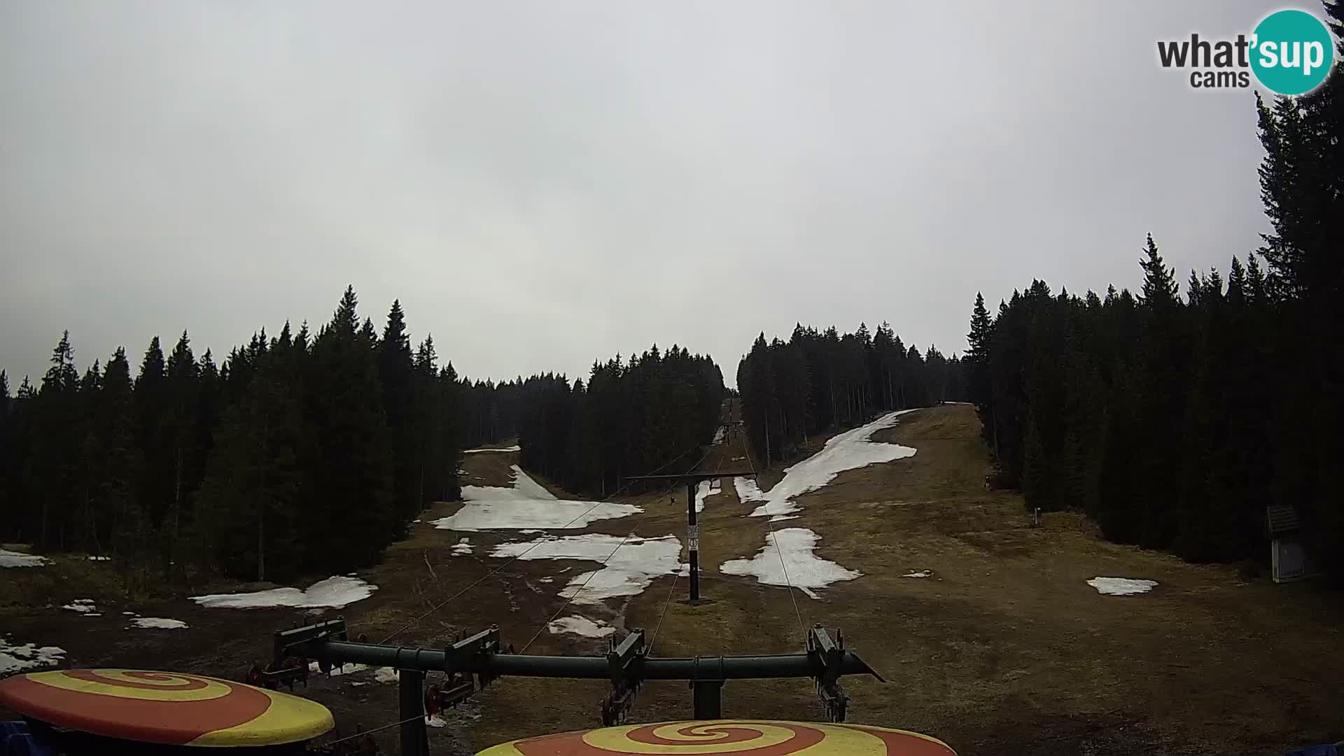 Comprensorio sciistico Rogla Webcam live Ostruščica piste 1 e 2