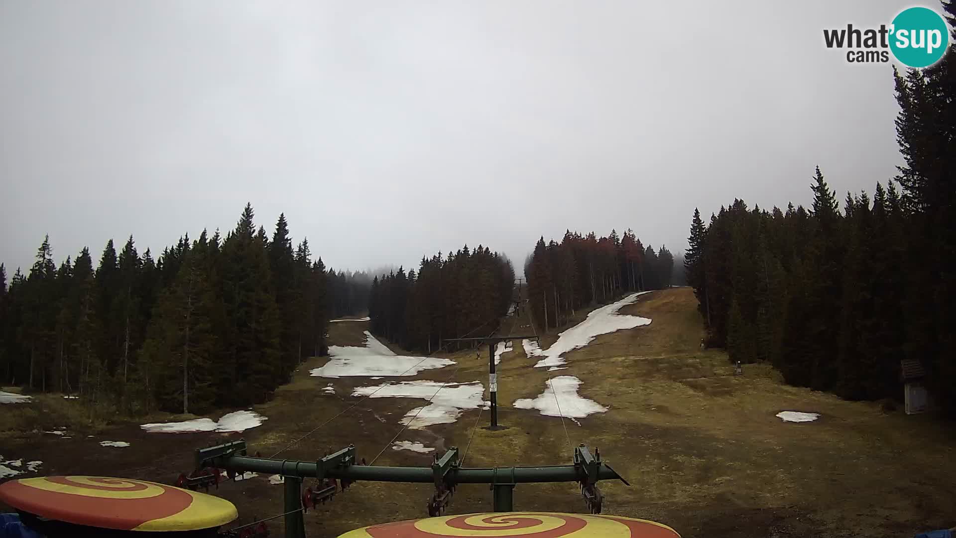 Webcam Live Rogla ski resort – Ostruščica