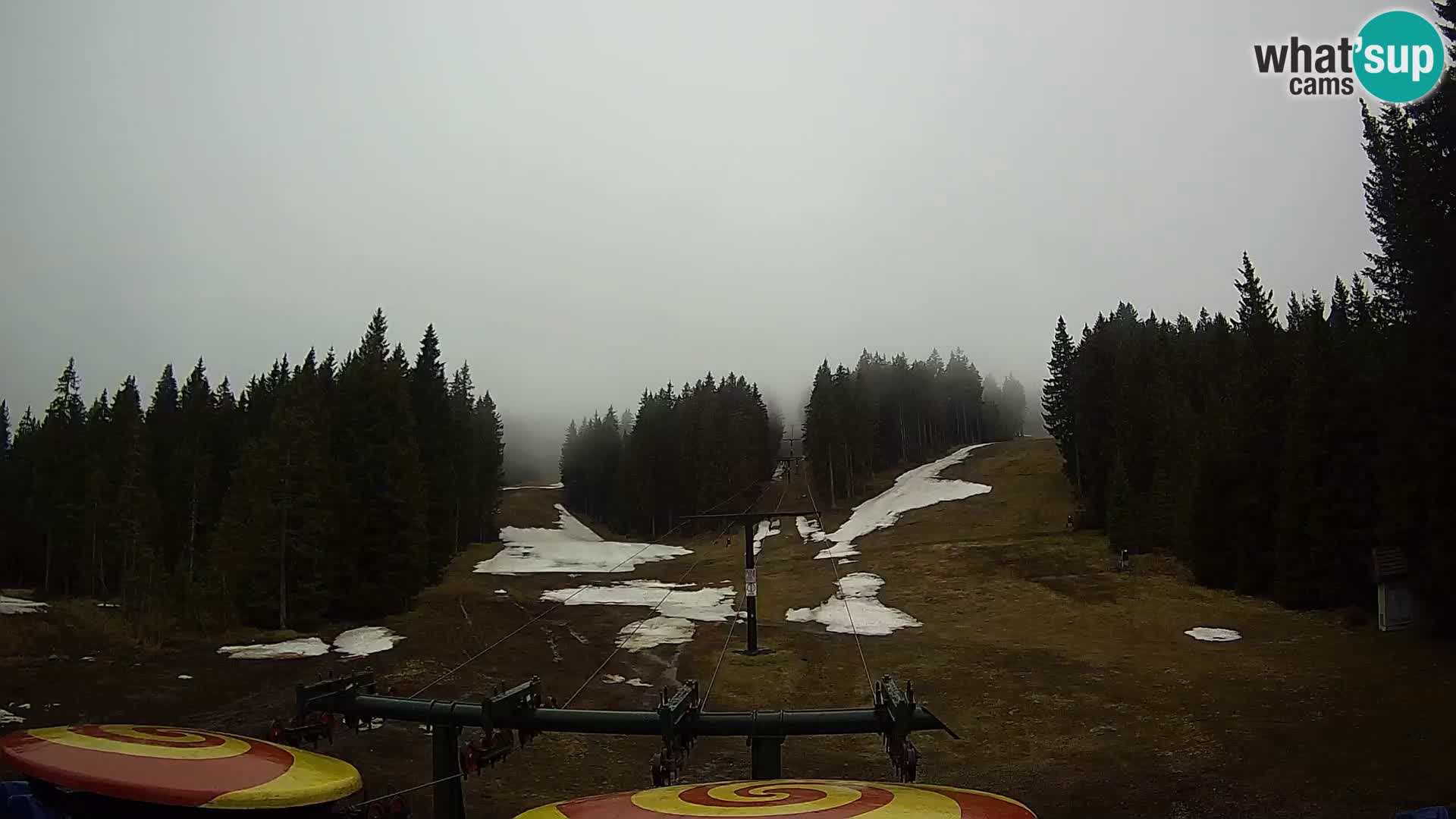 Comprensorio sciistico Rogla Webcam live Ostruščica piste 1 e 2