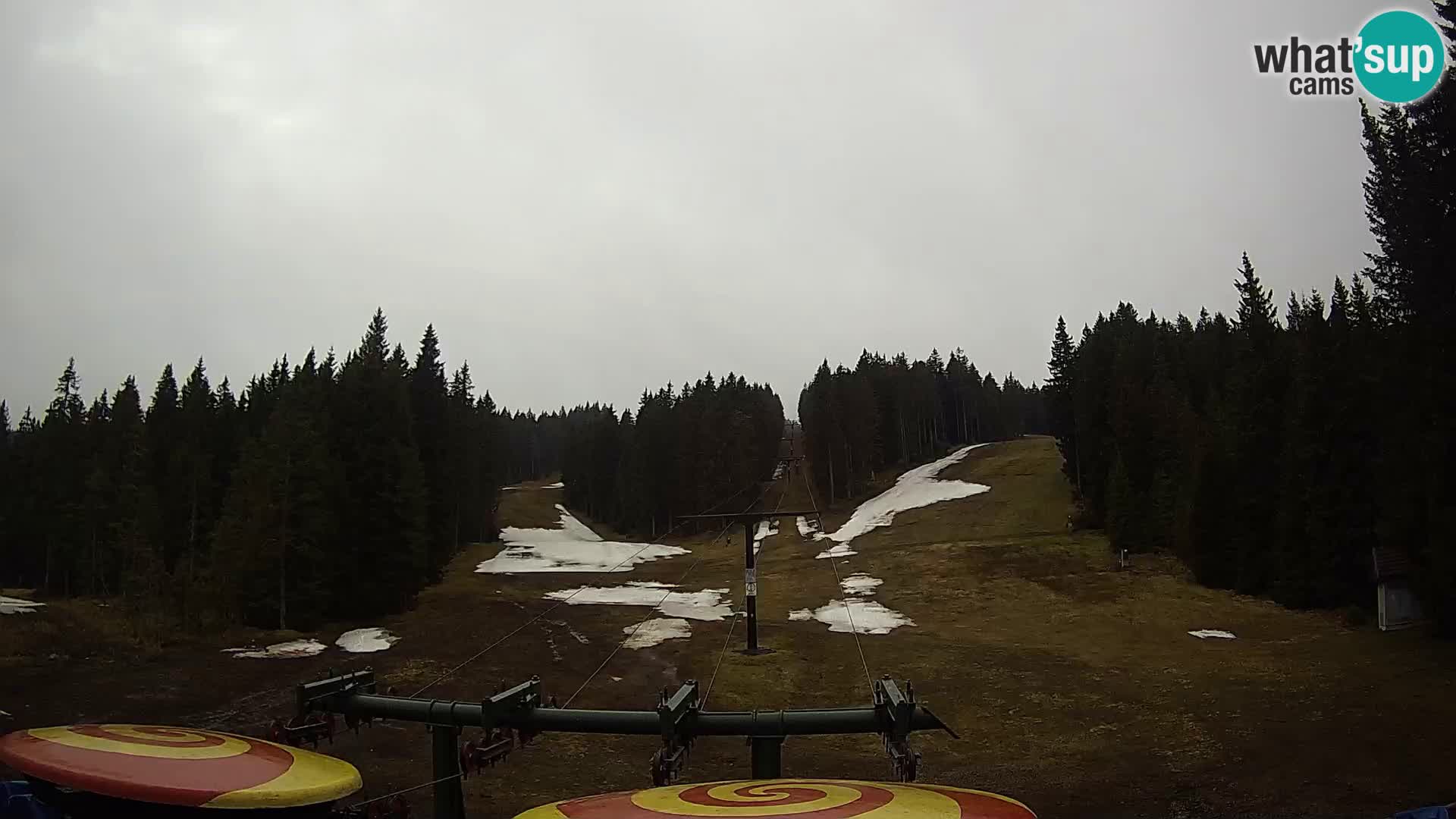 Comprensorio sciistico Rogla Webcam live Ostruščica piste 1 e 2
