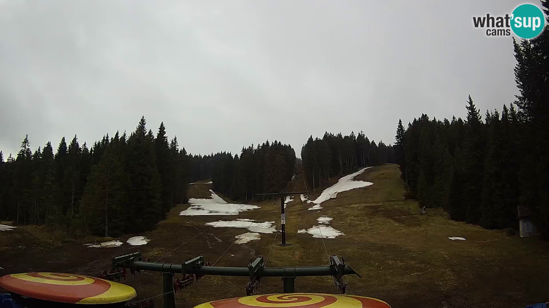 Comprensorio sciistico Rogla Webcam live Ostruščica piste 1 e 2