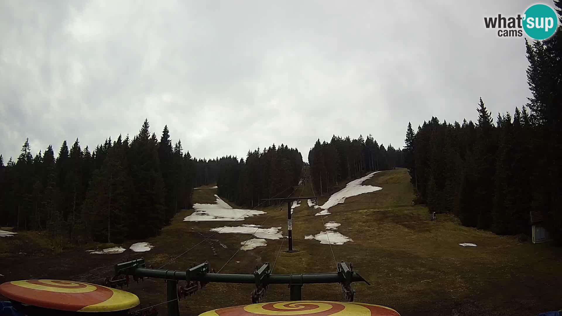 Webcam Live Rogla ski resort – Ostruščica