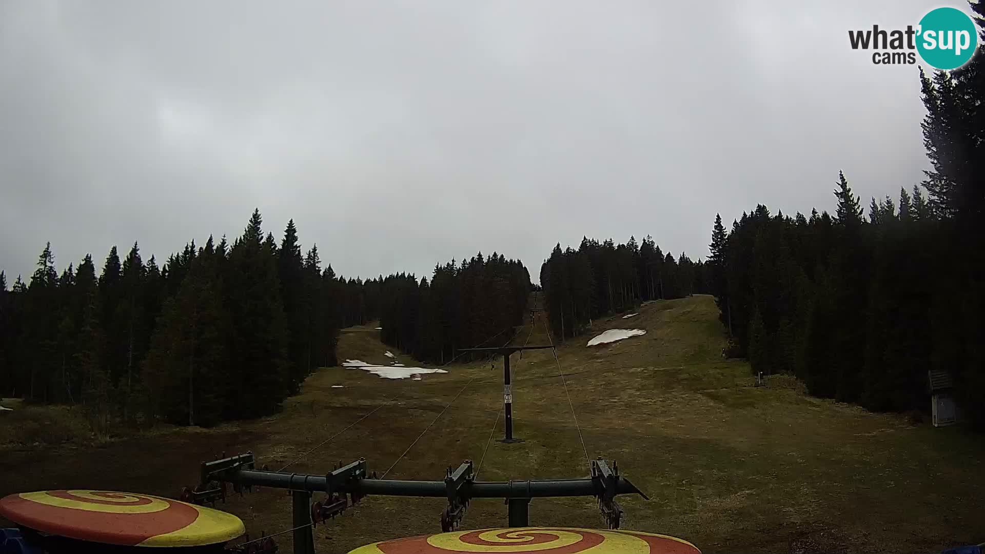 Webcam Live Rogla ski resort – Ostruščica