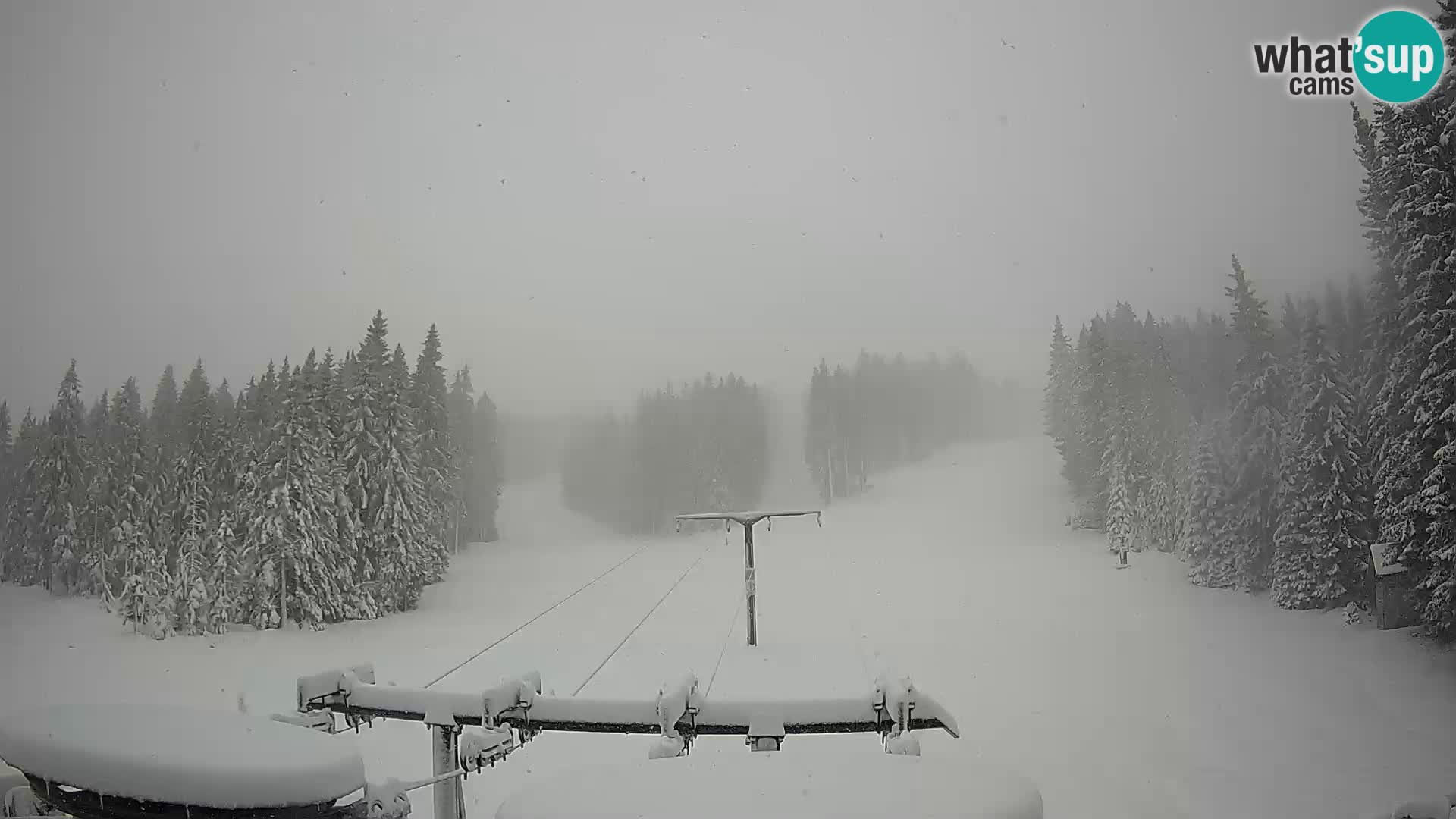Webcam Live Rogla ski resort – Ostruščica