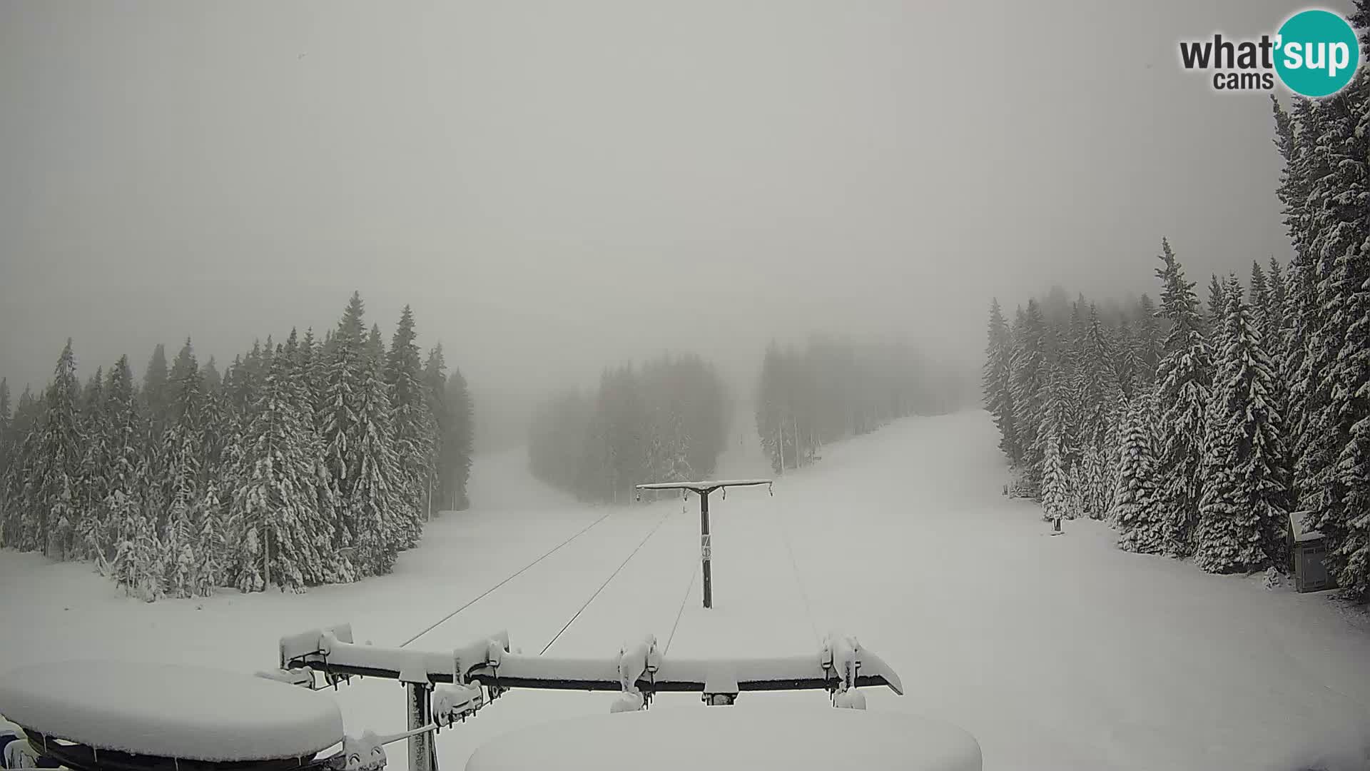 Comprensorio sciistico Rogla Webcam live Ostruščica piste 1 e 2