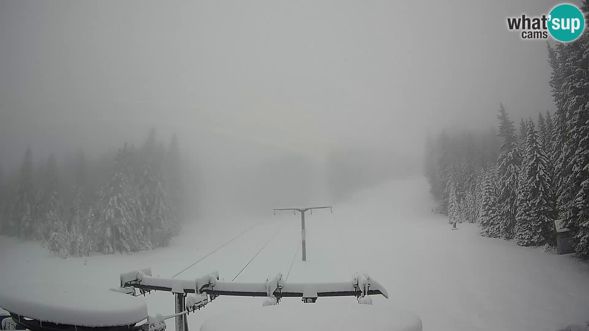 Webcam Live Rogla ski resort – Ostruščica