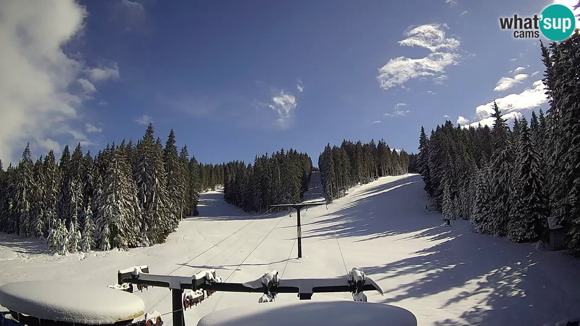 Station de ski Rogla Webcam Ostruščica pistes 1 et 2