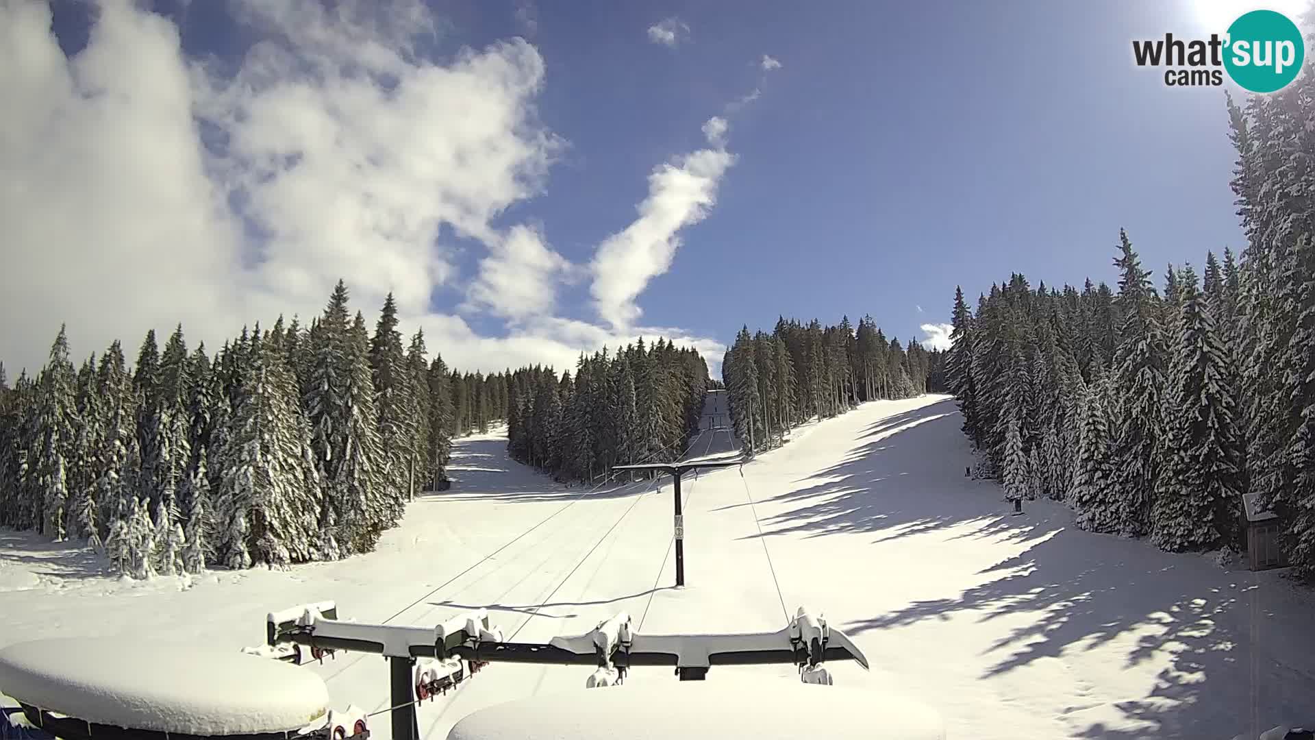 Station de ski Rogla Webcam Ostruščica pistes 1 et 2