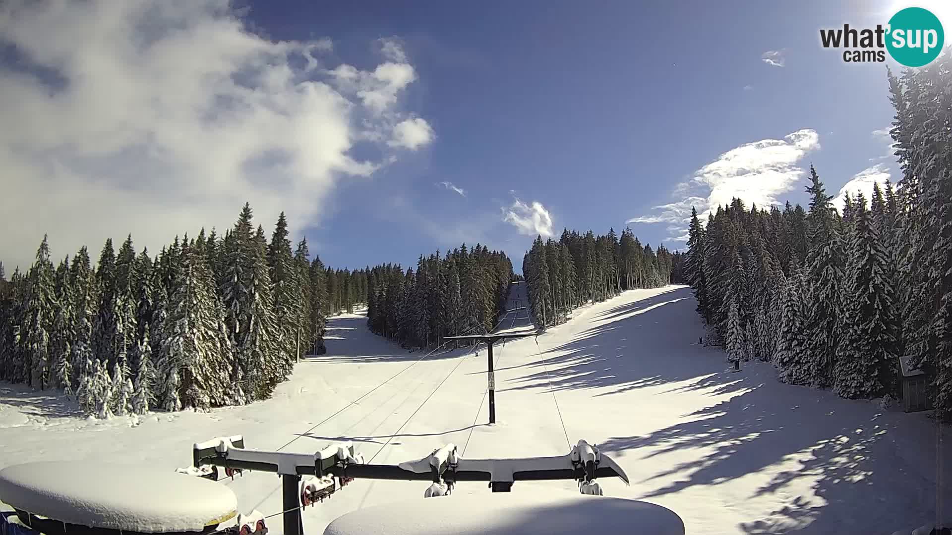 Station de ski Rogla Webcam Ostruščica pistes 1 et 2
