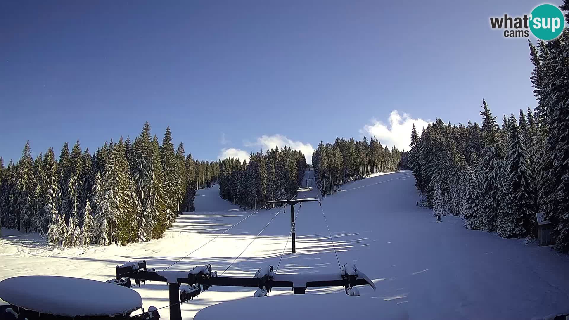 Station de ski Rogla Webcam Ostruščica pistes 1 et 2