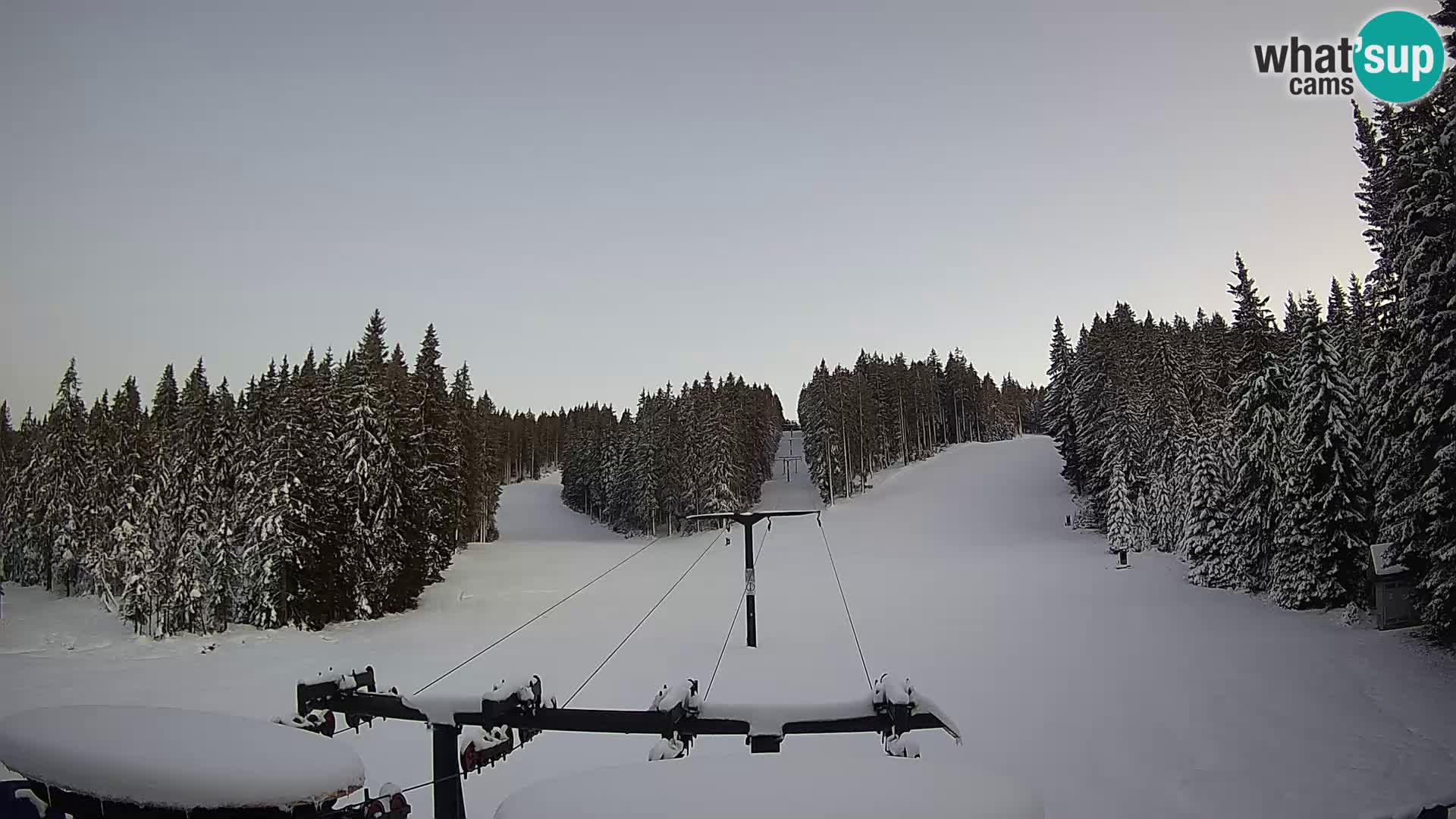 Estación de esquí Rogla Webcam Ostruščica pistas 1 y 2
