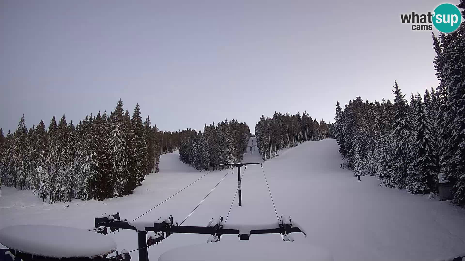 Comprensorio sciistico Rogla Webcam live Ostruščica piste 1 e 2