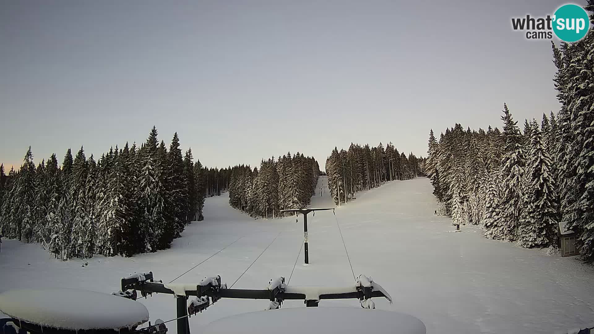 Webcam Live Rogla ski resort – Ostruščica