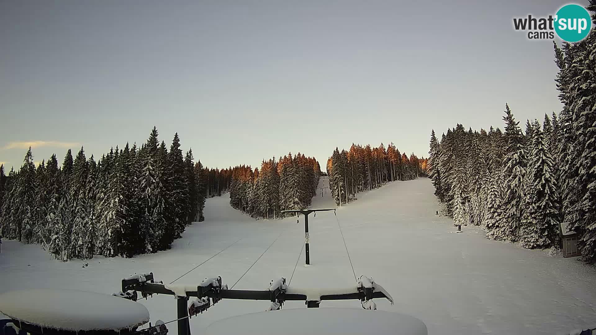 Station de ski Rogla Webcam Ostruščica pistes 1 et 2