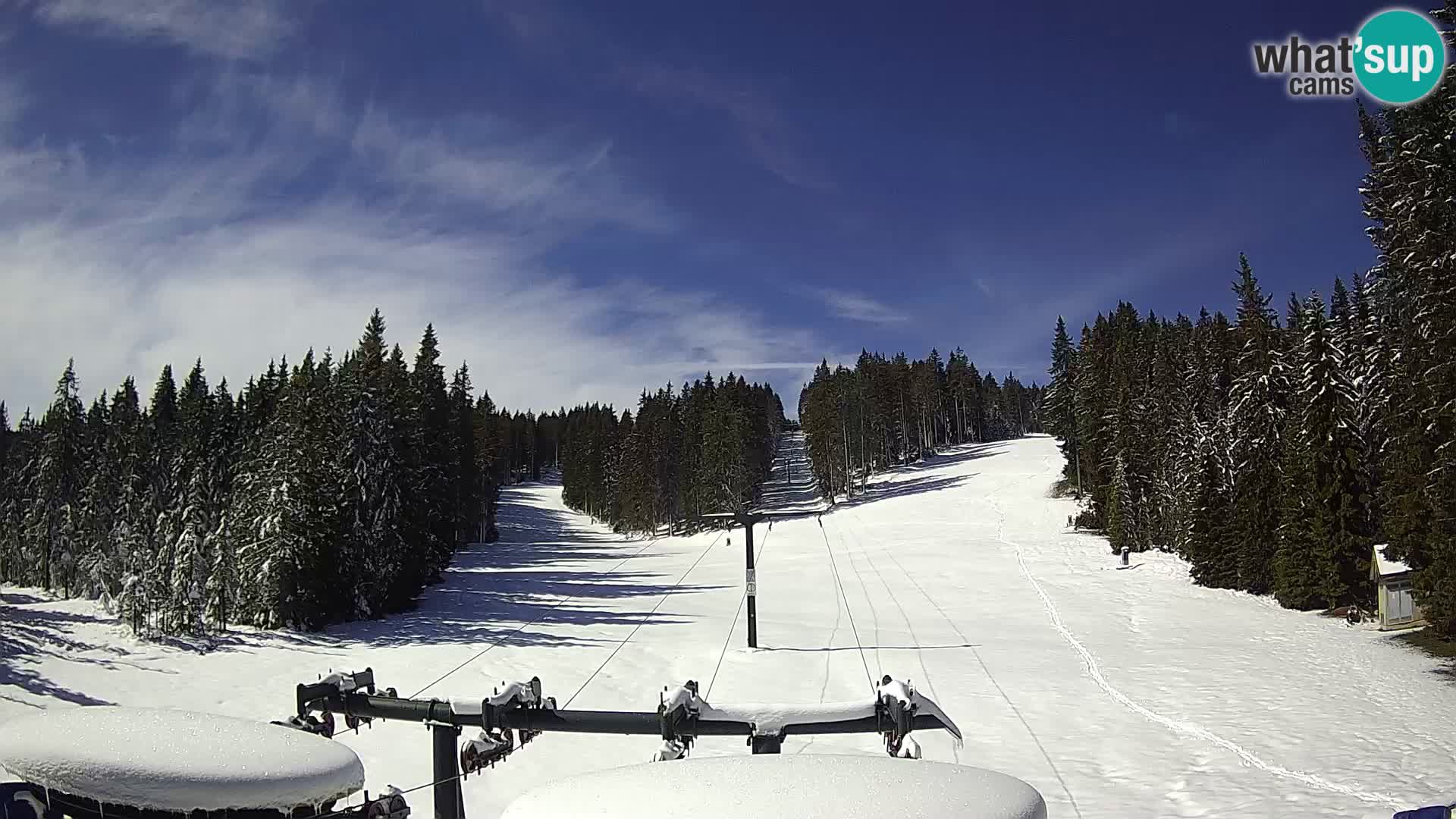 Webcam Live Rogla ski resort – Ostruščica