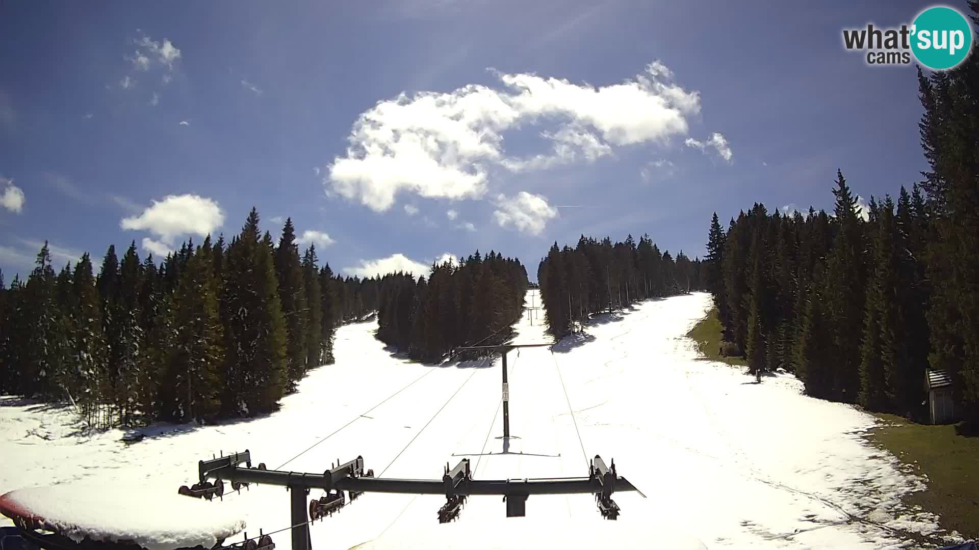 Comprensorio sciistico Rogla Webcam live Ostruščica piste 1 e 2