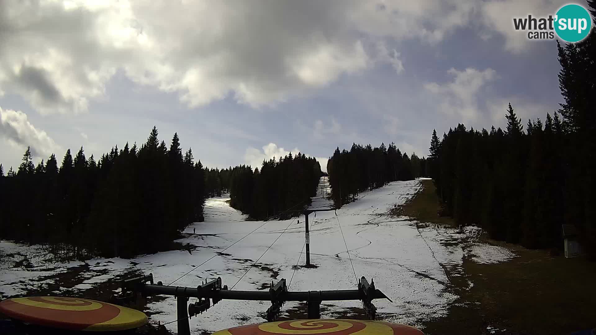 Comprensorio sciistico Rogla Webcam live Ostruščica piste 1 e 2