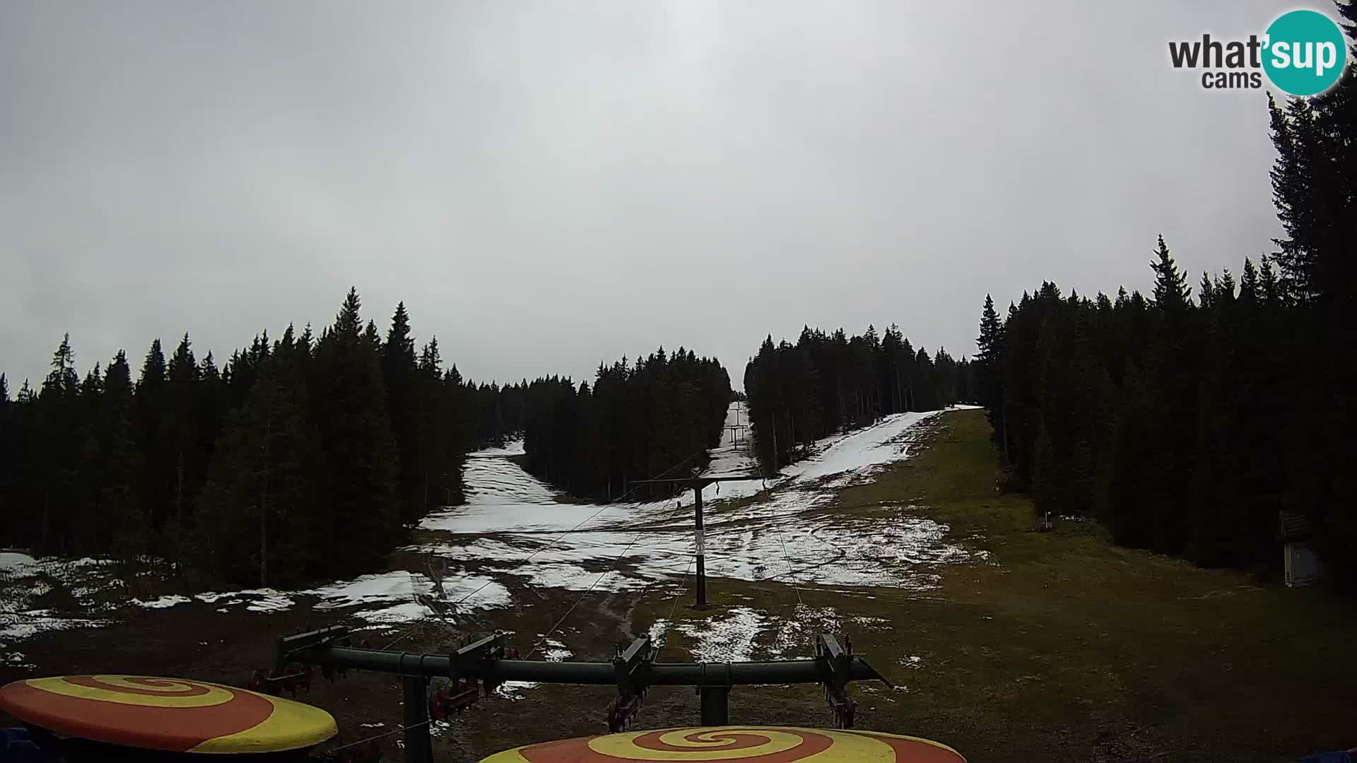 Webcam Live Rogla ski resort – Ostruščica