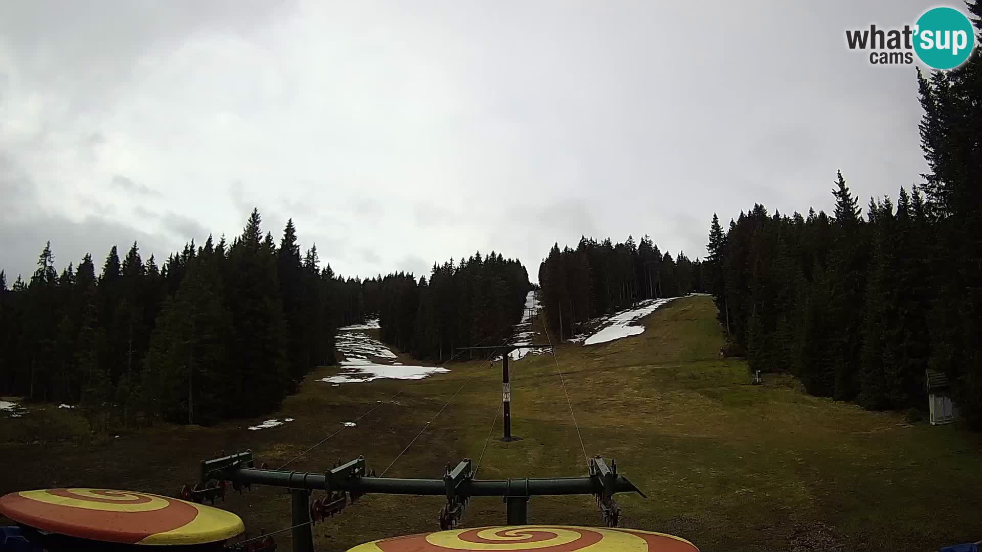 Webcam Live Rogla ski resort – Ostruščica
