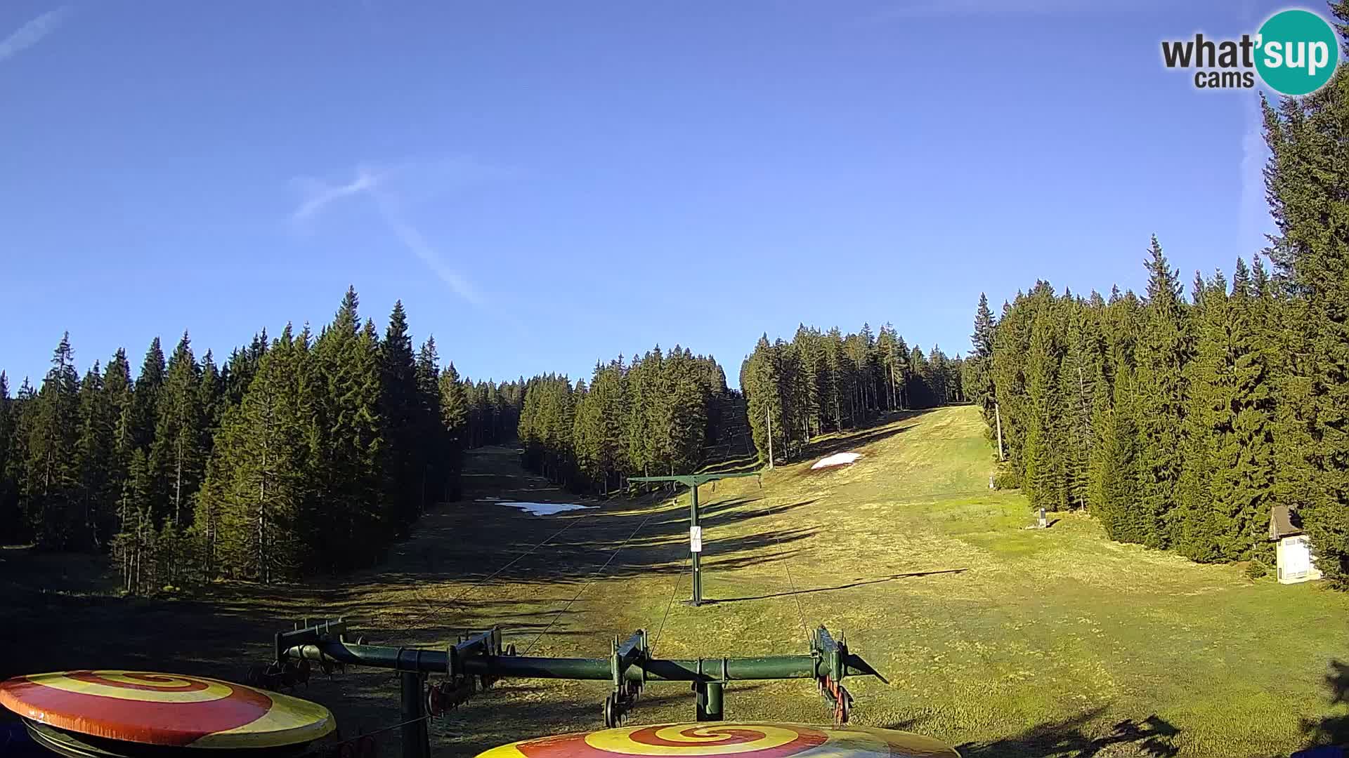 Skigebiet Rogla Webcam Ostruščica Piste 1 und 2