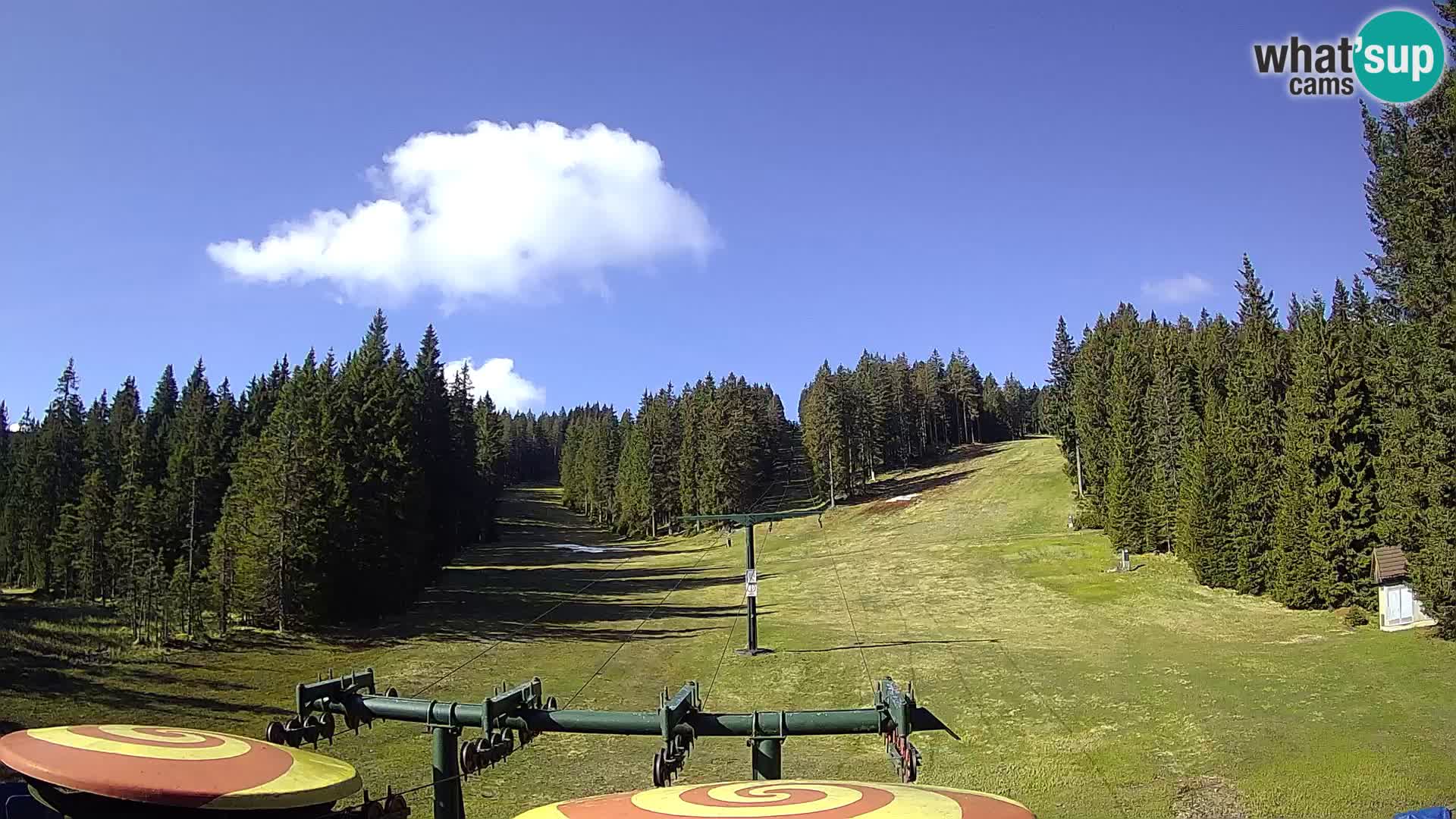 Webcam Live Rogla ski resort – Ostruščica